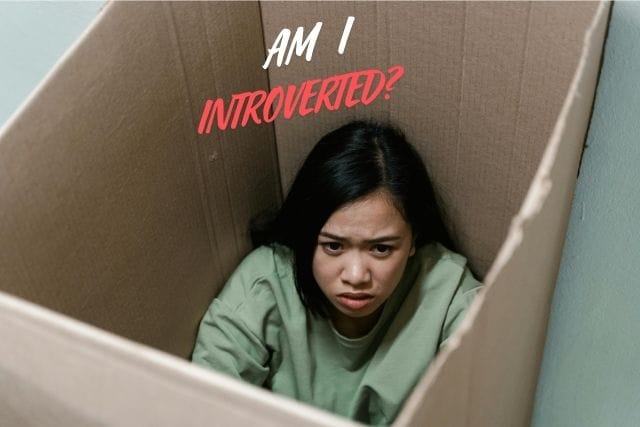 "All Autistic People Are Introverted" : Myth or Truth?